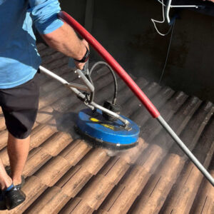 Roof Washing Service