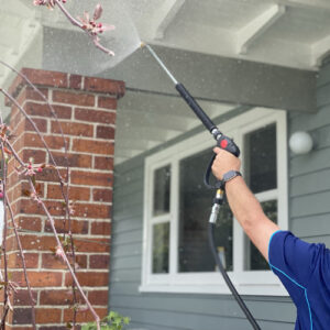 House washing in Daisy Hill