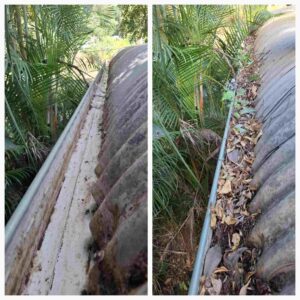 Gutter Cleaning