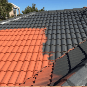 roof painting in Ascot