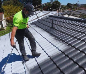 Roof painting