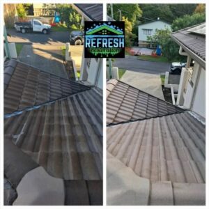 roof cleaning in St Lucia