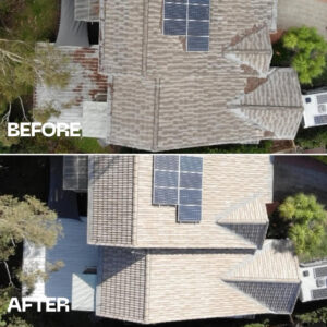 roof cleaner in Woolloongabba