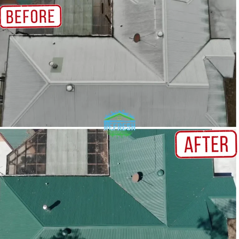 Roof painter in brisbane
