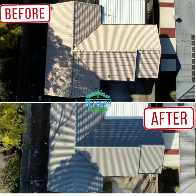 Roof painting service in brisbane