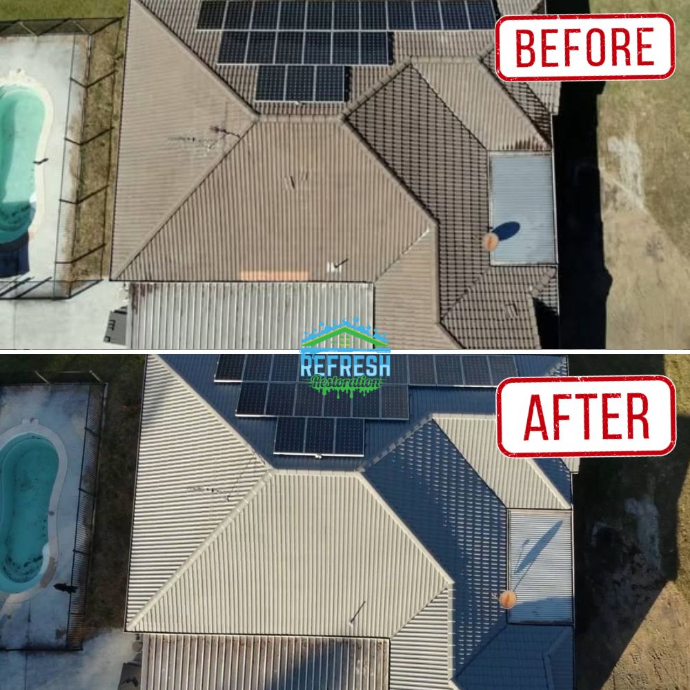 Roof Cleaner in Loganlea