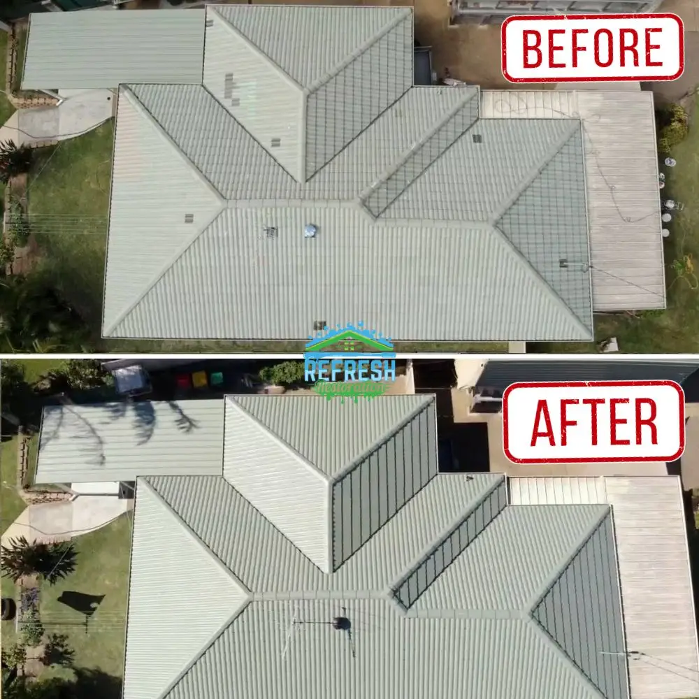 Roof Cleaner in Holmview
